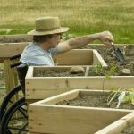 Tuinieren in een rolstoel: 5 handige tips